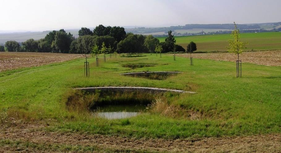 12 Vsakovací jámy těsně po realizaci 2014 (foto: archiv KPÚ Pro Plzeňský kraj, Pobočka Plzeň) 4 DISKUZE Výsledky článku shrnují poznatky z jedné územně správní jednotky SPÚ týkající