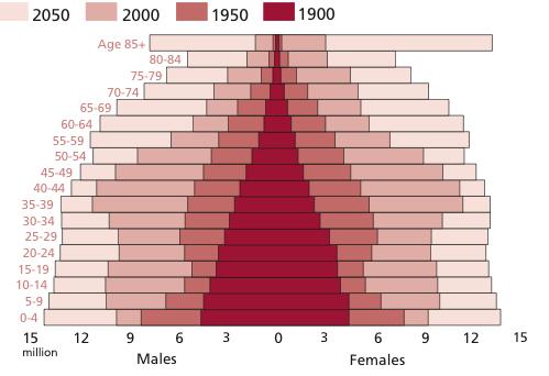 Obr. 3 Srovnávací věková pyramida. (zdroj: http://thesocietypages.org/) Srovnávací sloupcová věková pyramida názorně ukazuje vývoj během delší časové periody.