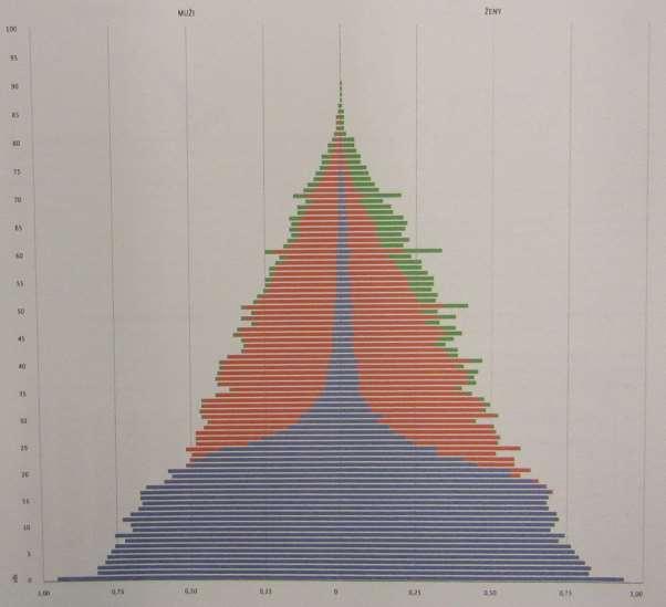Dalším typem pyramidy je strukturní věková pyramida, kde je kromě celkové populace v určitém časovém úseku zobrazeno i vnitřní rozdělení obyvatelstva, například vdané/ženatí,