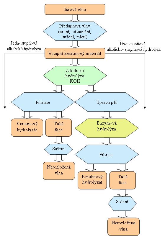 V dnešní době je nejlepším a nejpoužívanějším zpracováním keratinových odpadů enzymová popřípadě enzymovo-alkalická hydrolýza (schéma je znázorněné na obrázku č.