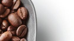 Poctivým přístupem se každodenně snažíme o to, abychom kvalitními produkty