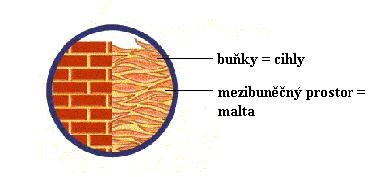 br.1.2.