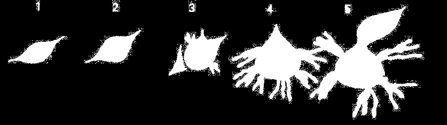 http://bioweb.uwlax.edu Obr. 2.