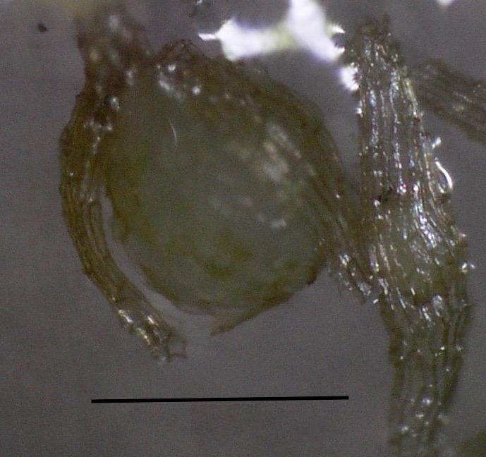 Obr. 9.