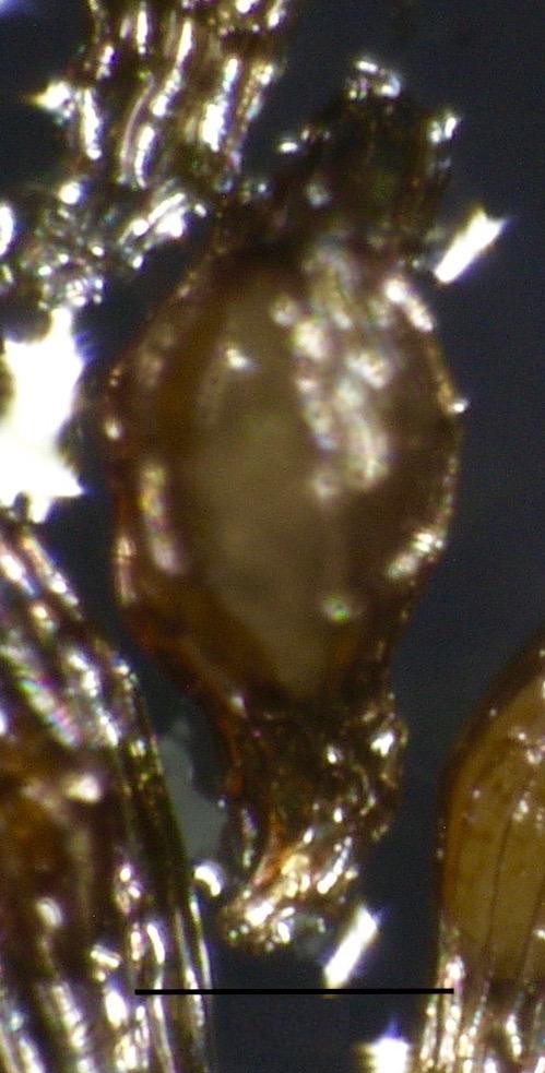 Obr. 10.