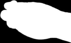 49 0 0 0 0 0 0 0 0 0 0 0 0 0 0 2 2 2 0 0 0 0 0 0 0 0 0 0 ZÁTKY JEHLOVÉ SMT (315 C) SMT 0079 SMT 0080 SMT 0083 SMT