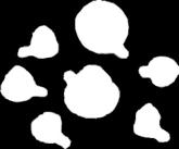 22,22,40 28,57 19,5 28,57 28,57 2,36 2,36 3,17 3,17 3,17 3,17 3,17 3,17 2,54 3,17 3,17