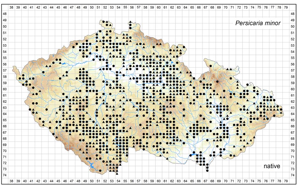 Distribution of Persicaria minor in the Czech Republic Author of the map: Jiří Danihelka, Kateřina Šumberová Map produced on: 09-05-2017 Database records used for producing the distribution map of