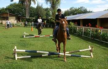 Obrázek 1 Interactive vaulting (NARHA)