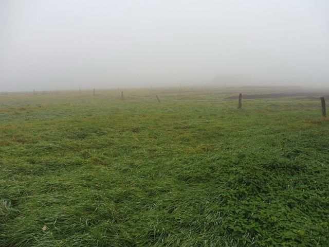 Odhadci a znalci CZ, s.r.