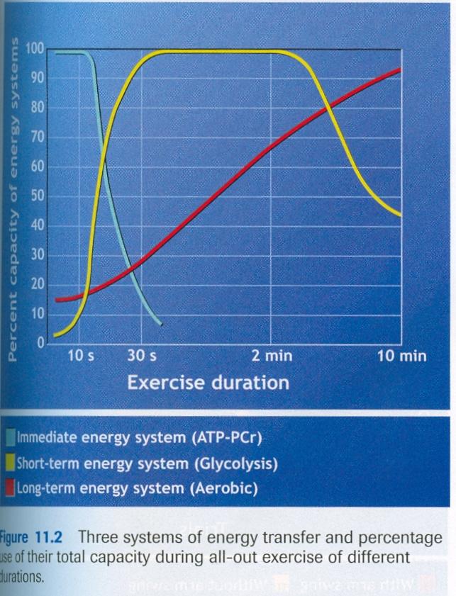 Podíl energetických systémů na max.