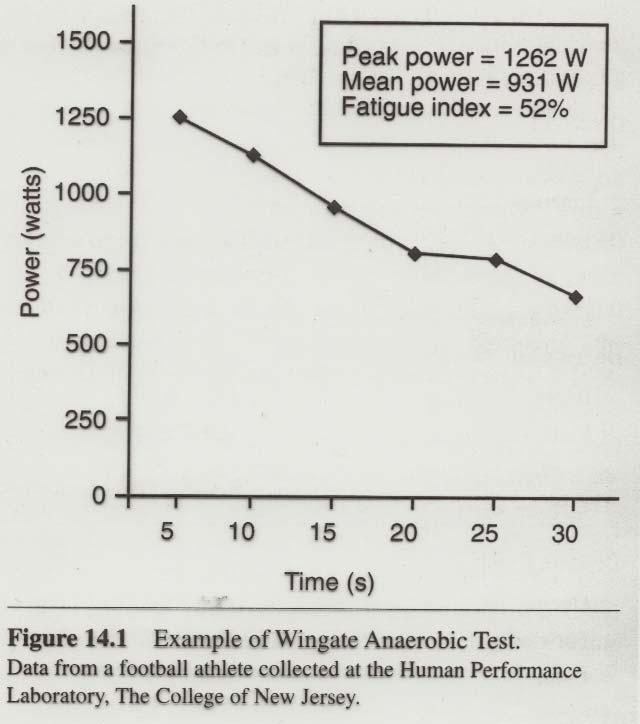 Wingate test Bicyklový
