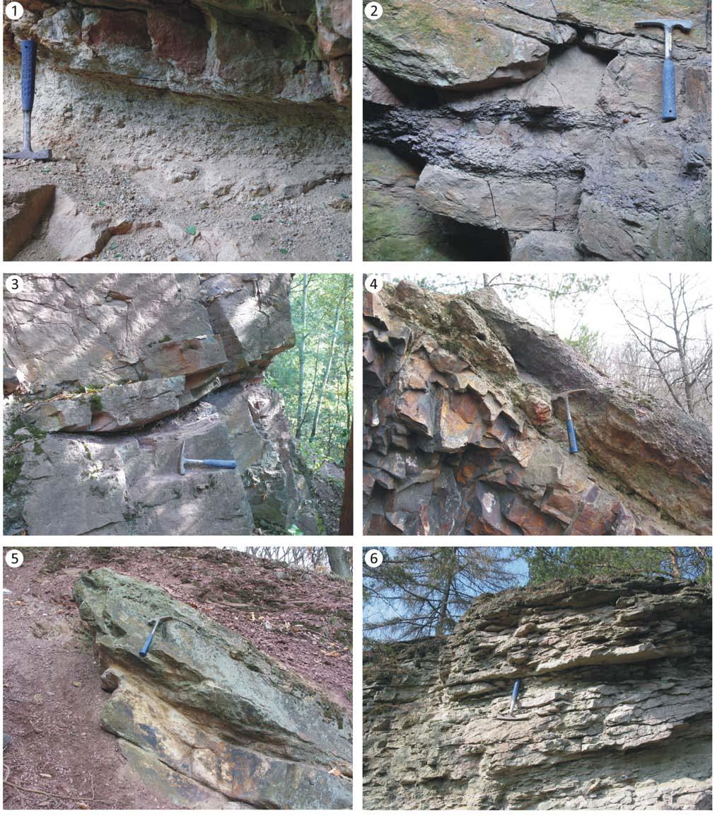 Folia vol. 47, No. 1-2, 2013 Plate VII. Main lithofacies exposed in the localities of the Třenice Formation.