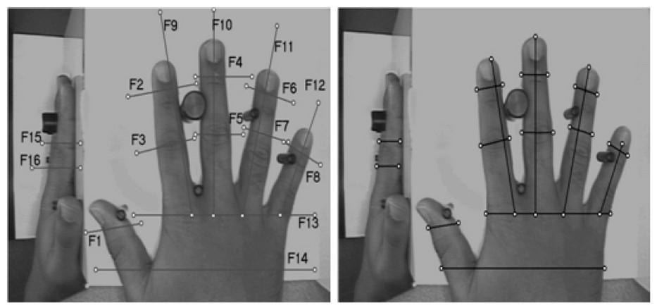 Obrázek č. 3-10 Geometrie ruky [3] Velmi významnými výhodami jsou velmi nízká hodnota FRR, design bez možnosti obelstění a pozoruhodná odolnost vůči znečištěným prostředím i lehčím zraněním ruky.