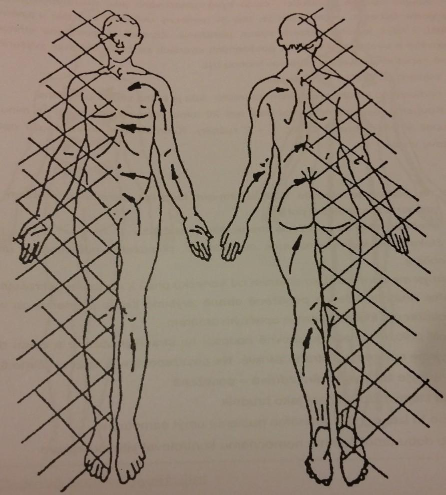 UTB ve Zlíně, Fakulta humanitních studií, Institut mezioborových studií, s. r. o. 46 Obrázek 7 Neurofyziologická stimulace/koupel celkově bazálně stimulující (zdroj: Dvořáková, 2014, s.