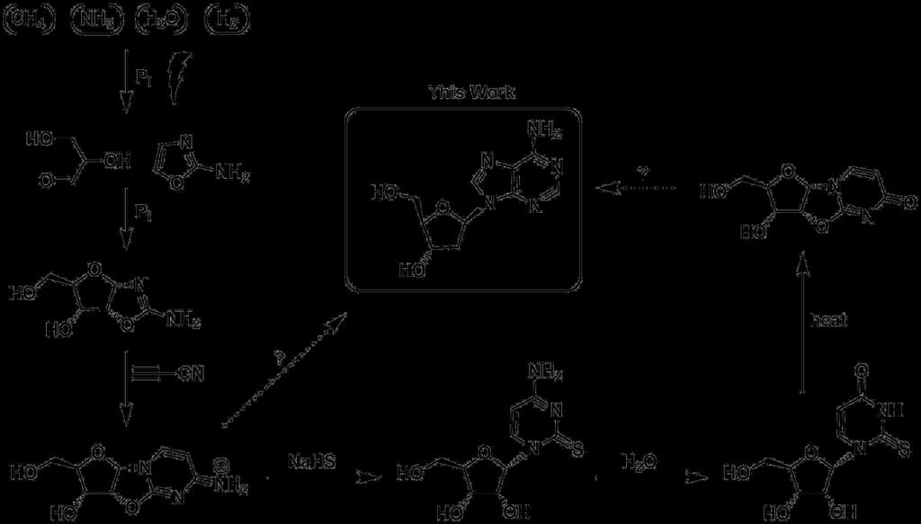 Prebiotic Synthesis of 2 -De