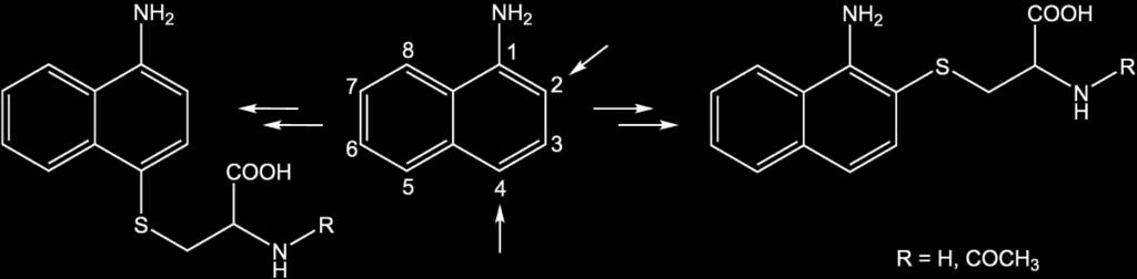 Medzi takéto elektrofilné látky patria arylnitréniové ióny, vznikajúce in vivo biotransformáciou nitroaromátov a aromatických amínov.