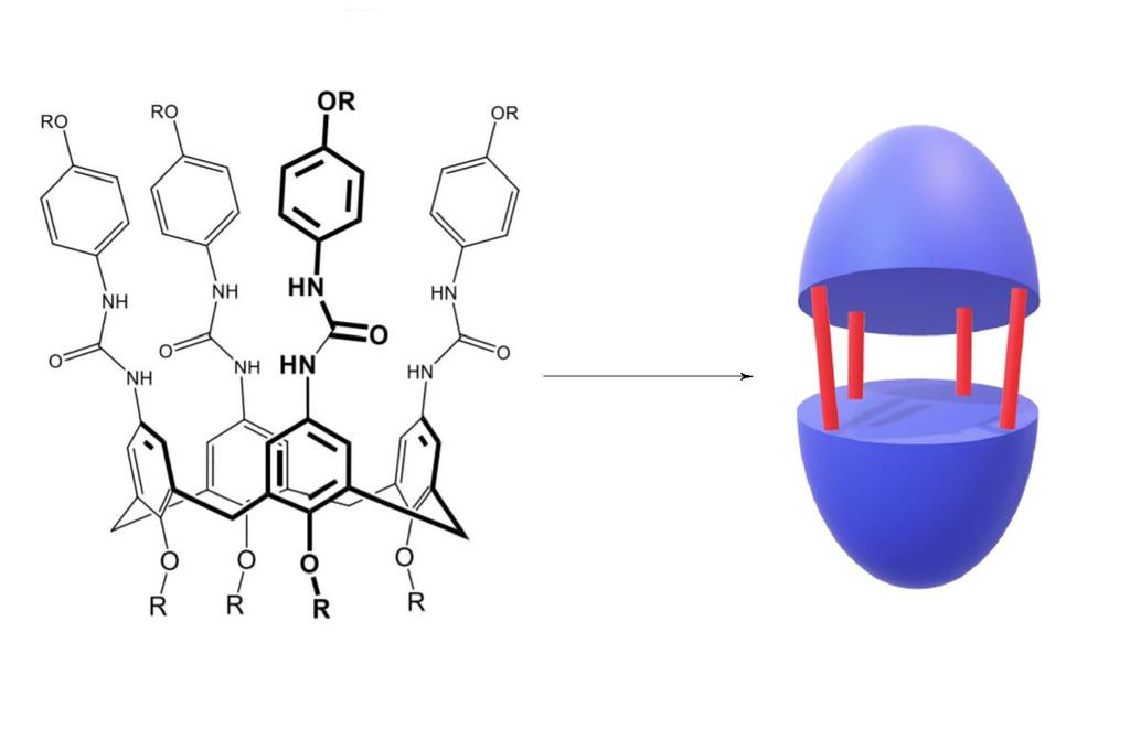 Ureidoderiváty pro studium dimerizace a komplexace aniontů a neutrálních látek Jiří Šimánek (B3) Školitel: Ing. Ondřej Kundrát, Ph.D.