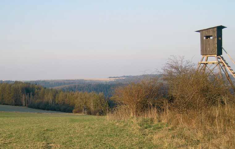 VOJENSKÉ LESY A STATKY ČR, s. p. výroční zpráva 2007 Lovecké zařízení - Kazatelna na LS Velký Újezd 7 DIVIZE LIPNÍK n.