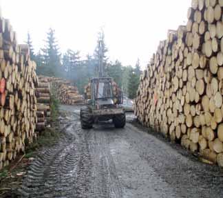 VOJENSKÉ LESY A STATKY ČR, s. p. výroční zpráva 2007 4. Těžba dřeva Vývoj těžeb v období 2004 až 2007 u VLS ČR, s. p. Ukazatel MJ 2004 2005 2006 2007 5.