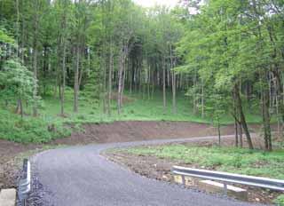 Doupovské hory patří do geomorfologického celku Podkrušnohorské oblasti s nejvyšším vrcholem Hradiště (934 m n. m.). Geologicky homogenní čedičové pohoří je druhé největší v Evropě.