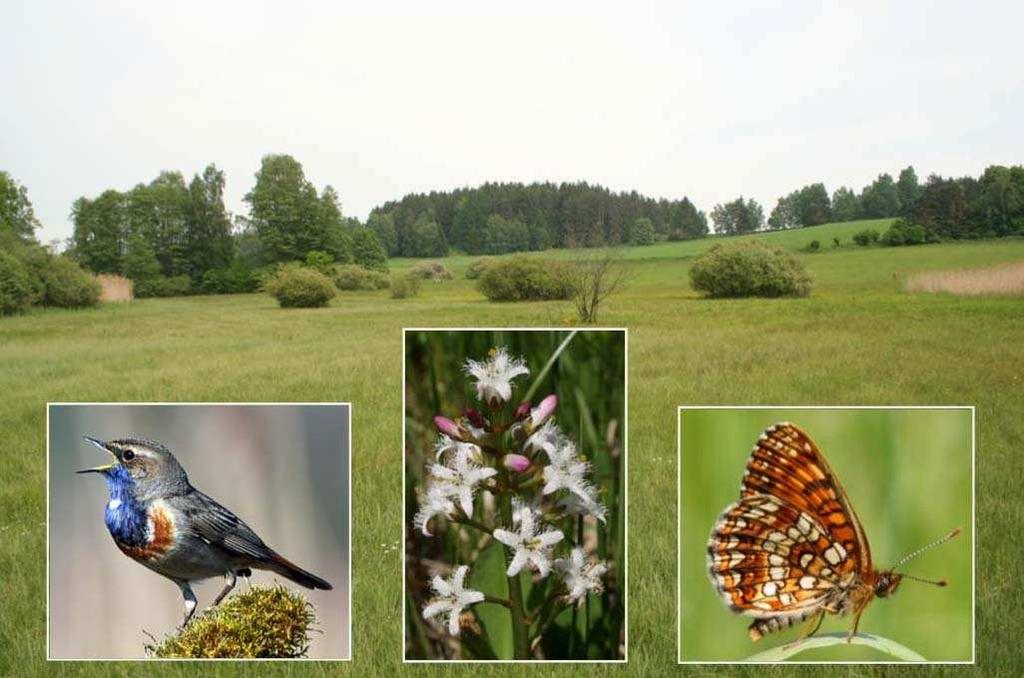 Bratří Čapků 264, CZ-588 56, Telč, e-mail: ester.hofhanzlova@centrum.