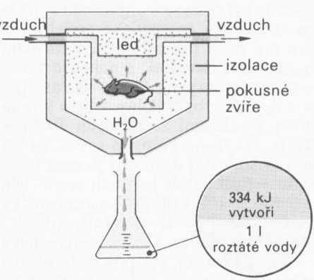 kalorimetrie měřítkem energetické přeměnyy je spotřeba