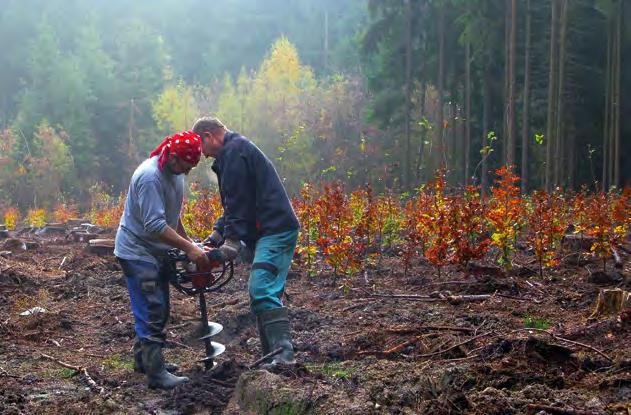 POUŽITÍ LISTNATÝCH POLOODROSTKŮ A ODROSTKŮ NOVÉ GENERACE V LESNICTVÍ LESNICKÝ PRŮVODCE C er ti f i k ov a n é METODIKY Ing. MARTIN BALÁŠ, Ph.D. Ing. JARMILA NÁROVCOVÁ, Ph.