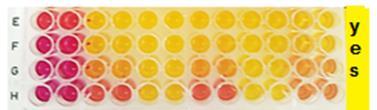Reprotoxicita Endokrinní disruptory Exogenní látky ovlivňující hormonální systém jedince negativně ovlivňuje reprodukční,