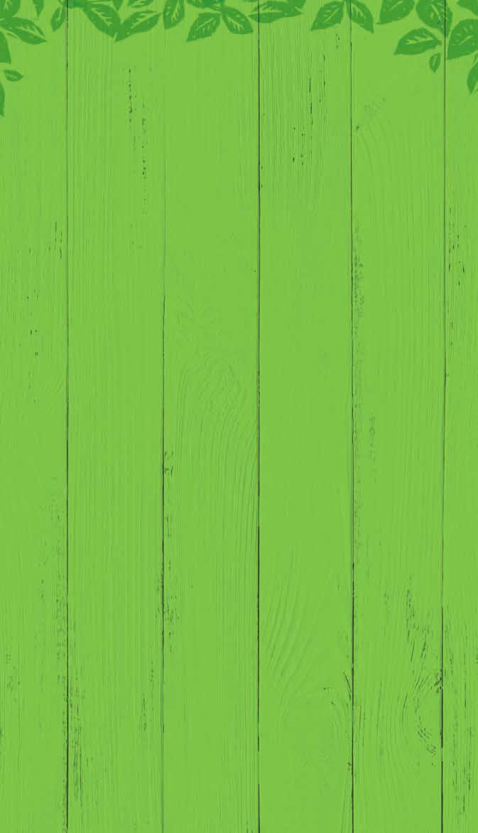 Veggie Kuskus a