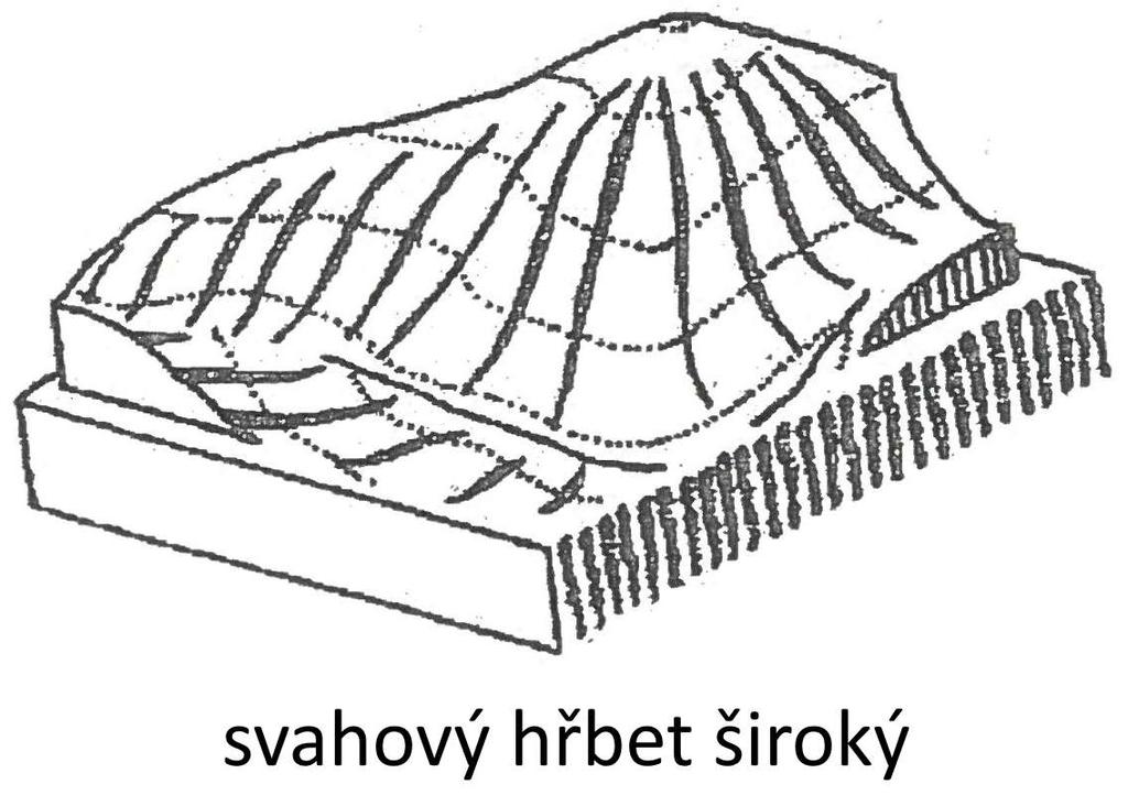 neznatelný normální vypuklá plocha je zřetelněji klenutá, určit hřbetnici je již snažší úzký