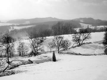 krajinného rázu nevšímali pouze ovocného stromu, ale konkrétního druhu a odrůdy, typických pro určitý region.