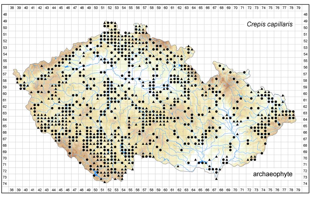 Distribution of Crepis capillaris in the Czech Republic Author of the map: Zdeněk Kaplan Map produced on: 06-02-2018 Database records used for producing the distribution map of Crepis capillaris