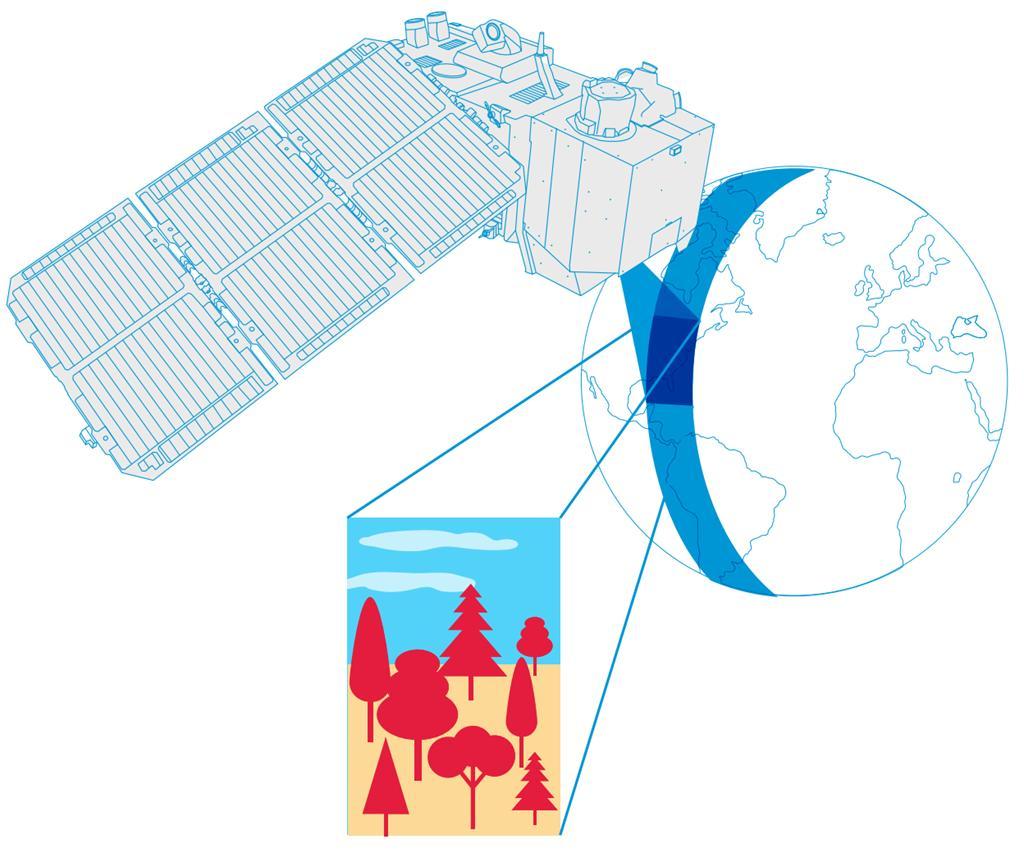 Fast facts a www.esa.