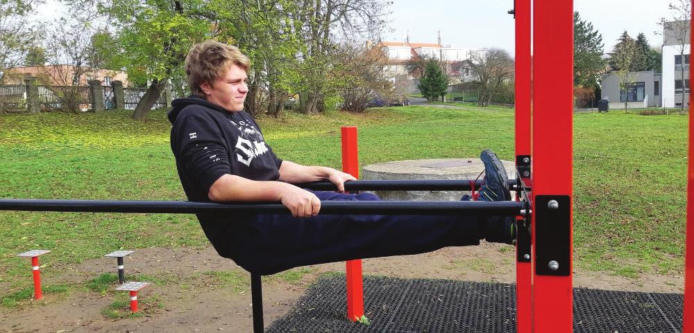 Přílepský
