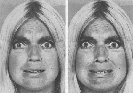 11 Obrázek 3: Strach Zdroj: EKMAN, Paul a Wallace V. FRIESEN. Unmasking the face: A guide to recognizing emotions from facial clues. Cambridge, MA: Malor Books, 2003, s. 56 ISBN 1-883536-36-7. 1.2.4 Štěstí Štěstí (angl.