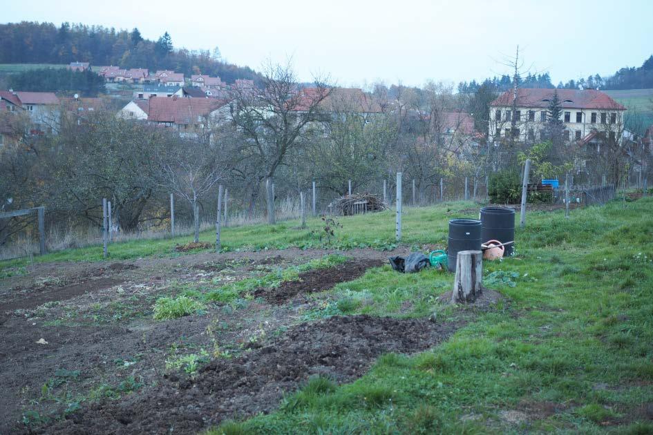 Prostor oplocenky bude paní Čermáková dál obhospodařuje v jedné části pěstování zeleniny a bylinek, ve druhé části péče o nově