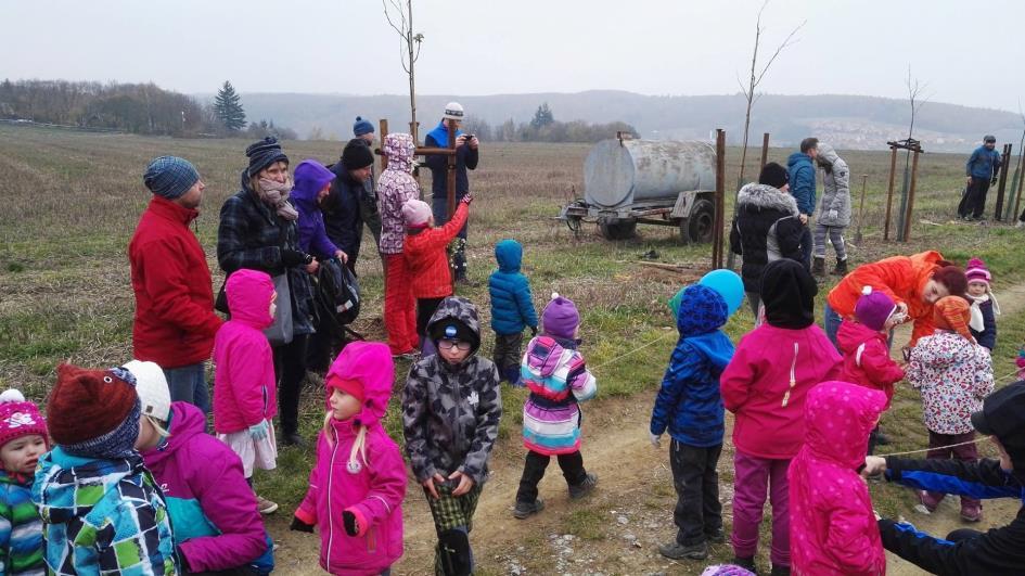 Dne 4. a 5. 11. 2017 bude vysázena další část Novodvorské aleje, kde si Březinské děti zasadily své jeřáby moravské (dívky) a břízy bělokoré (chlapci).