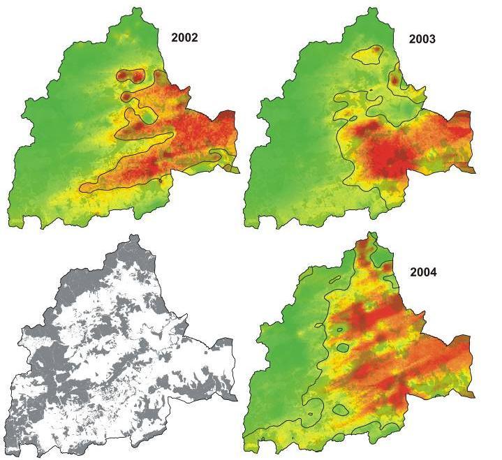 rozpadu a zabránění šíření do zóny C těžba enormního množství napadených stromů, což může představovat riziko pro dosáhnutí optimální účinnosti těchto opatření. Obr.