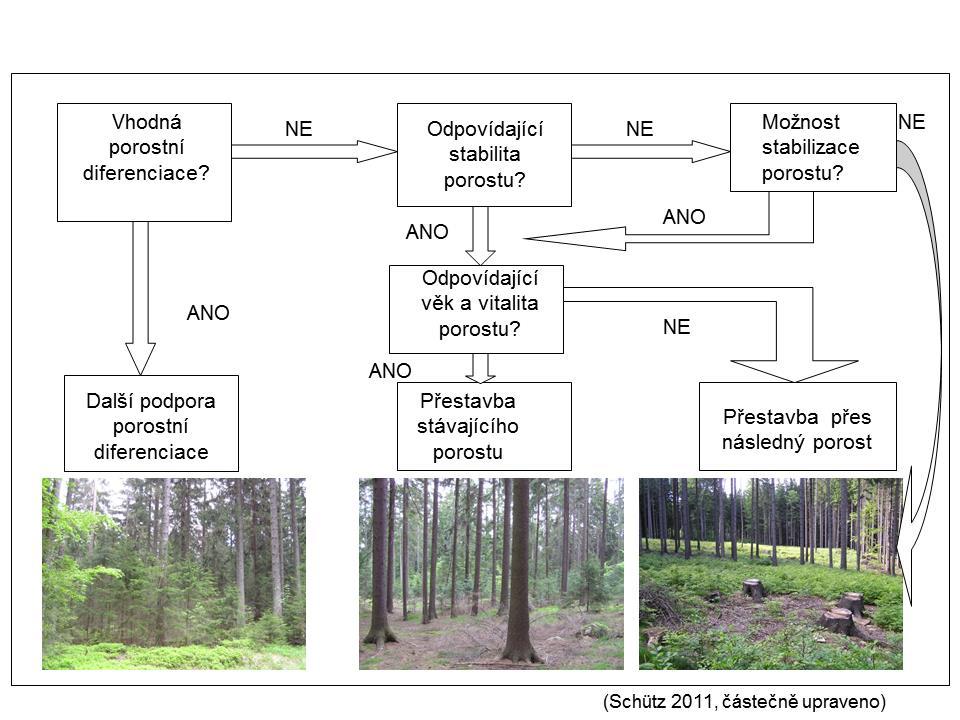 DOPORUČENÉ FORMY POROSTNÍCH SMĚSÍ A ZPŮSOBY JEJICH OBHOSPODAŘOVÁNÍ V OCHRANNÝCH PÁSMECH