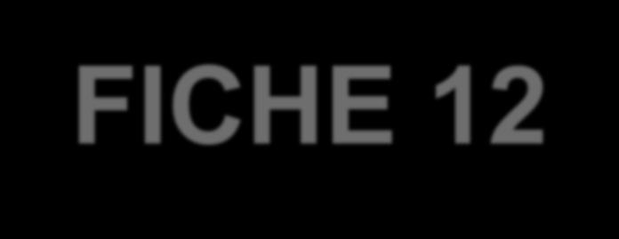 FICHE 12