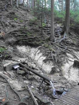 Obr. 6: Studánka Džberka (foto L. Strejčková, říjen 2006) 6.