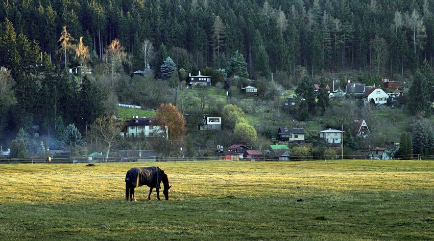 400 Půda, její využívání a ochrana Legislativní zabezpečení ochrany půdy 401 formuje vztah člověka k přírodě, a tím pádem i půdě, vymezení konkrétních a vymahatelných nástrojů její ochrany je však