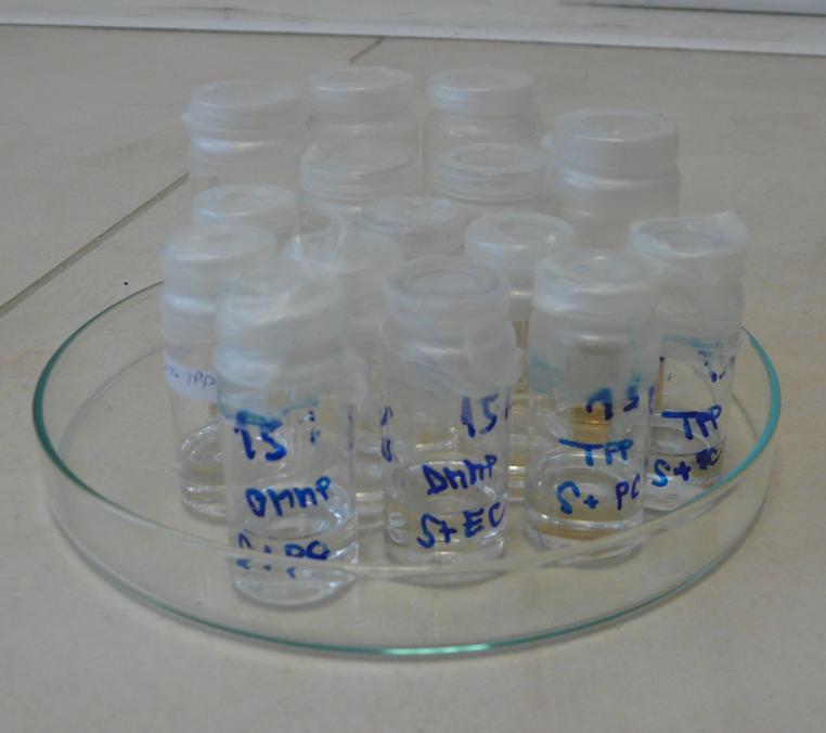 44 m [kg] - hmotnost V [m 3 ] - objem ϱ [kg/m 3 ] hustota TPP má hustotu 1,184 g/cm 3, koncentrace 3 % z objemu 13 ml = 0,39 ml, koncentrace 10 % z objemu 13 ml = 1,3 ml.