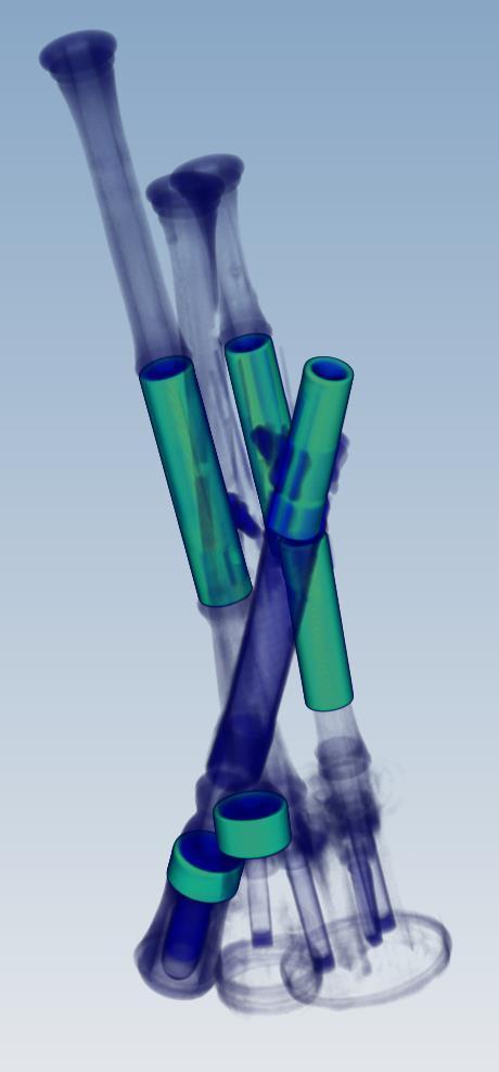 Noch eine Segmentierung Ještě jedna segmentace Musikinstrument im CT Segmentiere Material Segmentiere Geometrie