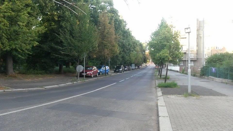 fotografie) Obrázek 9 Pohled do