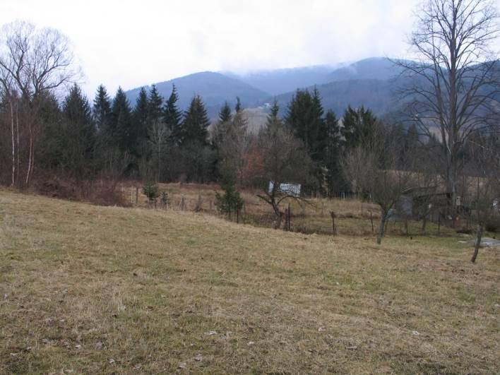 Foto 15: Pohled na plochu Z39 od