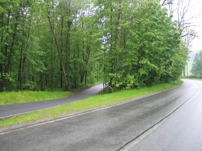 jasan ztepilý (Fraxinus excelsior), lípa srdčitá (Tilia cordata), třešeň ptačí (Prunus avium), javor klen (Acer pseudoplatanus). Podél cesty roste hodnotná jasanová alej.