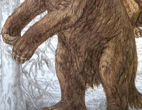 Astrapotherium