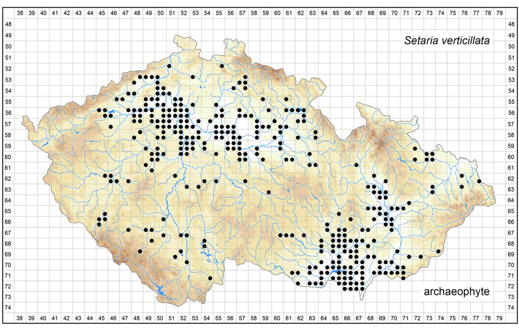 Distribution of Setaria verticillata in the Czech Republic Author of the map: Jindřich Chrtek Map produced on: 26-10-2018 Database records used for producing the distribution map of Setaria